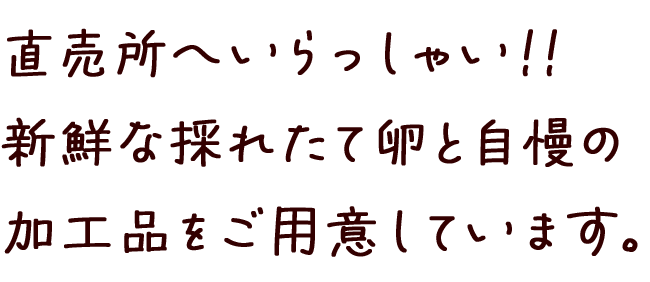 直売所へいらっしゃい!!新鮮な採れたて卵と自慢の加工品をご用意しています。