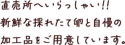 直売所へいらっしゃい!!新鮮な採れたて卵と自慢の加工品をご用意しています。